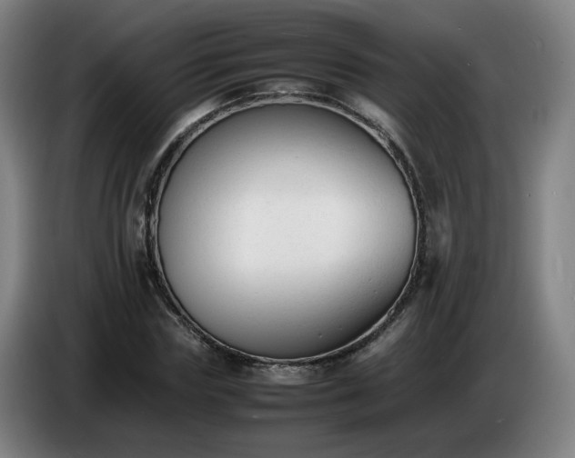 X0000086720827200704201625
