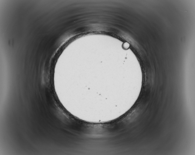 X0000086720828200704201625