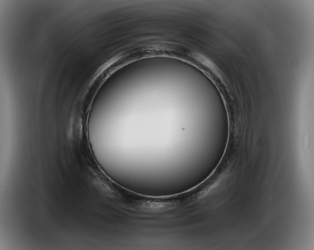 X0000086720829200704201625