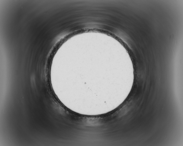 X0000086720832200704201625