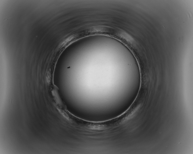 X0000086720833200704201625