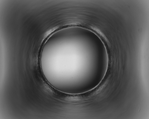 X0000086720834200704201625