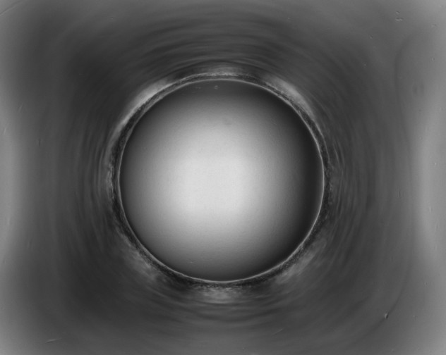 X0000086720835200704201625