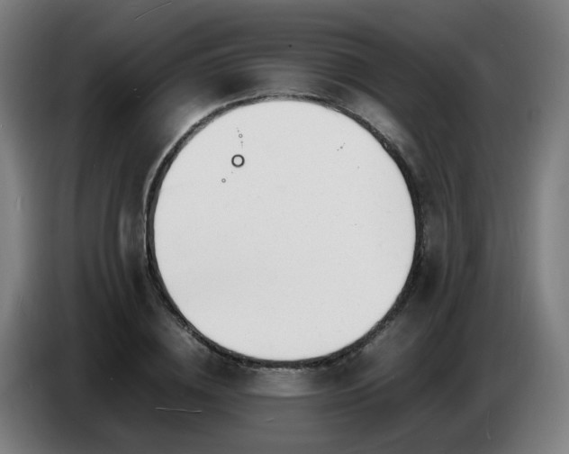 X0000086720836200704201625