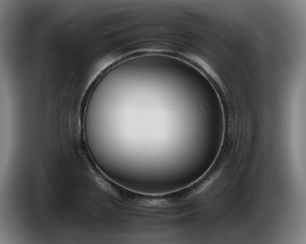 X0000086720837200704201625
