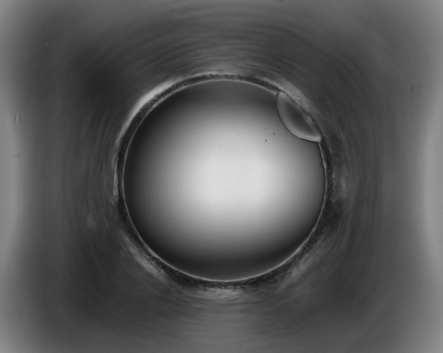 X0000086720838200704201625