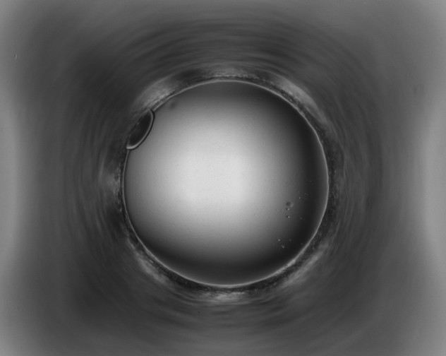 X0000086720841200704201625