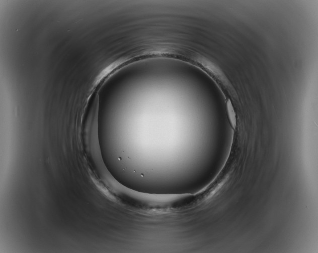 X0000086720842200704201625