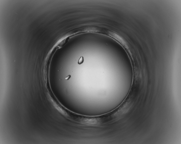 X0000086720843200704201625