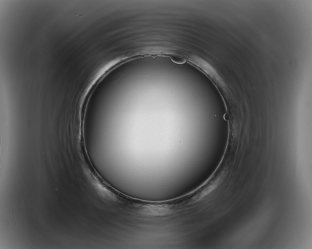 X0000086720844200704201625