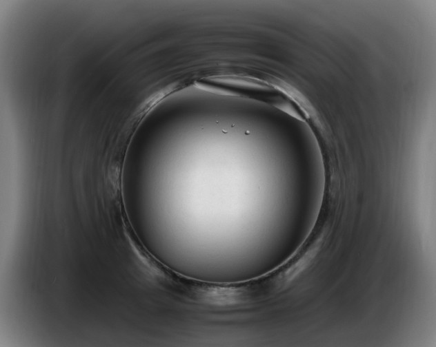 X0000086720849200704201625
