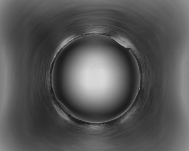 X0000086720850200704201625