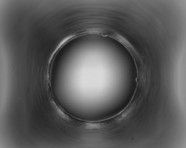 X0000086720852200704201625