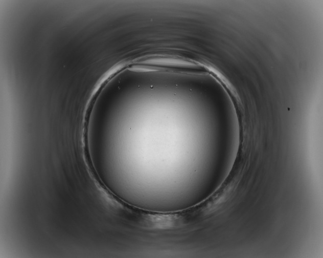 X0000086720853200704201625