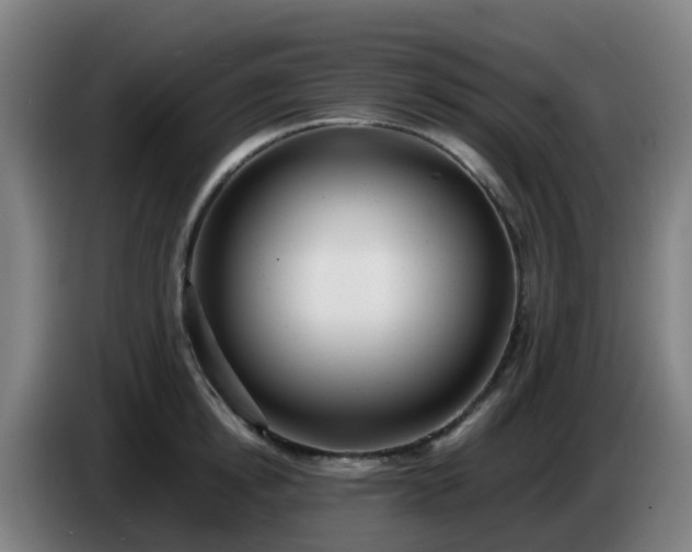 X0000086720854200704201625