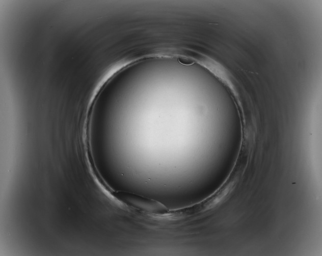X0000086720855200704201625