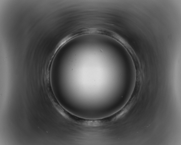 X0000086720858200704201625