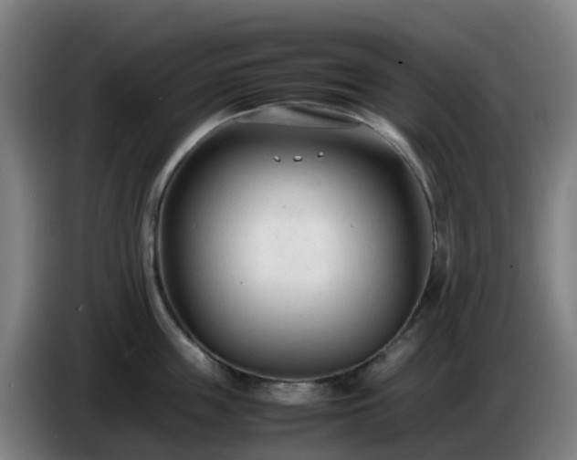 X0000086720859200704201625