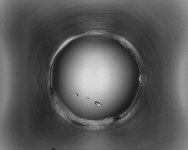 X0000086720860200704201625
