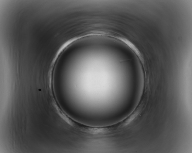 X0000086720862200704201625