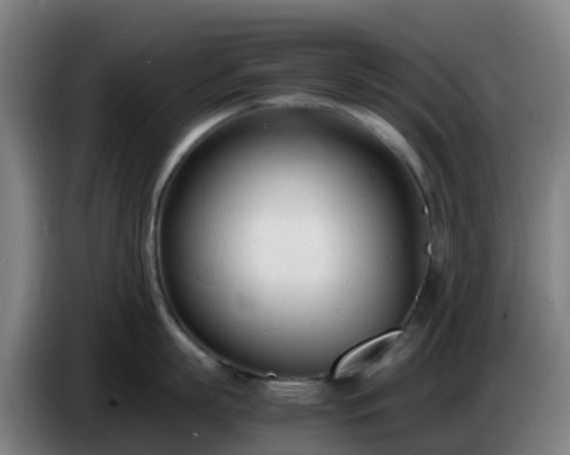 X0000086720863200704201625