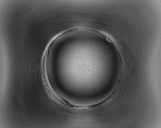 X0000086720864200704201625