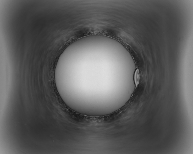 X0000086720865200704201624