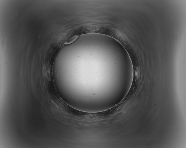 X0000086720867200704201624