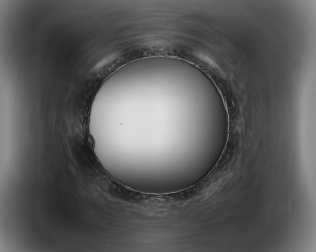X0000086720869200704201624