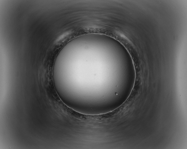 X0000086720870200704201624