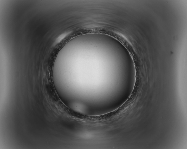 X0000086720871200704201624