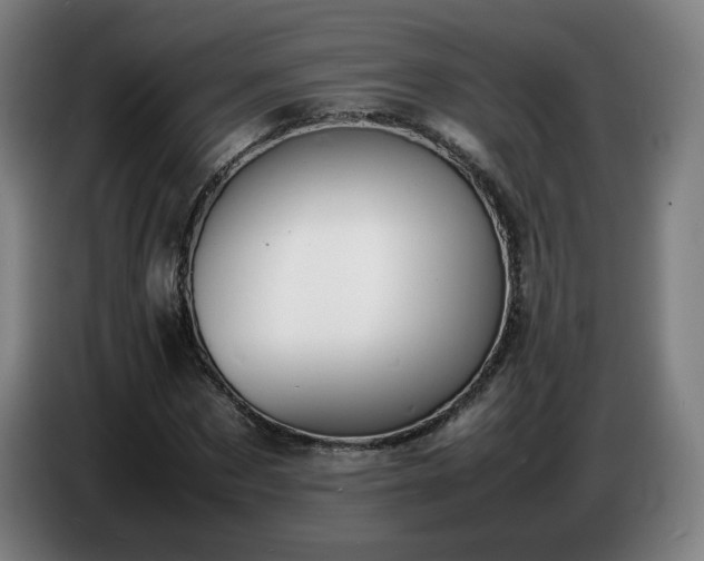 X0000086720873200704201624