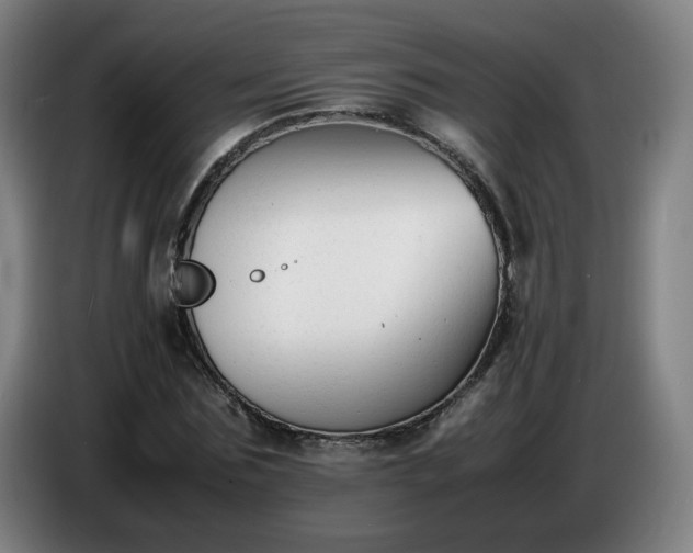 X0000086720875200704201624