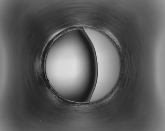 X0000086720876200704201624