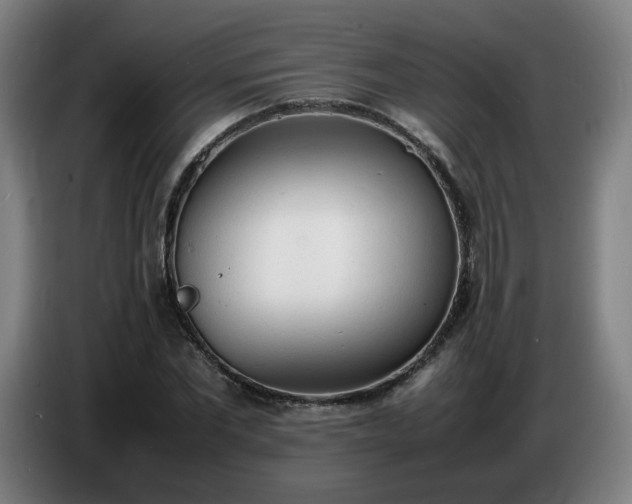 X0000086720877200704201624