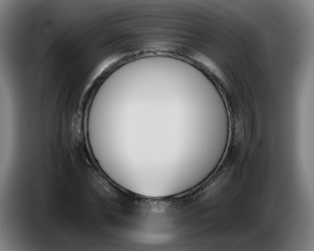 X0000086720878200704201624