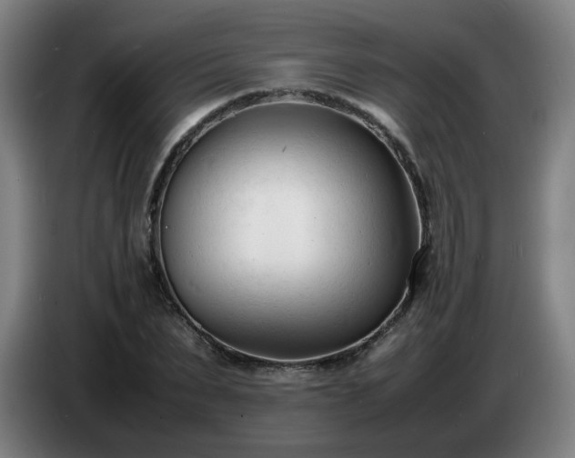 X0000086720879200704201624