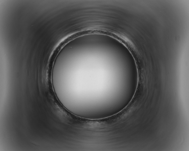 X0000086720880200704201624