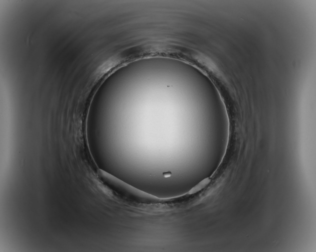 X0000086720881200704201624