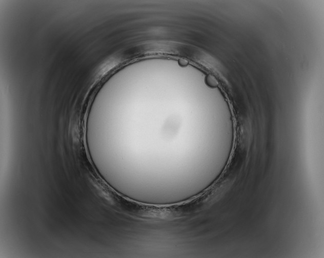 X0000086720882200704201624