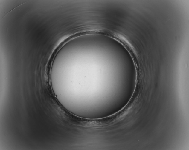 X0000086720883200704201624