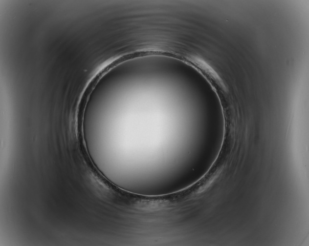 X0000086720884200704201624