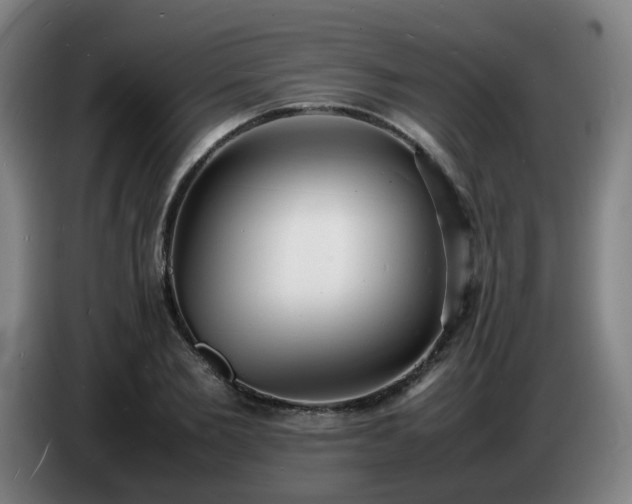 X0000086720885200704201624