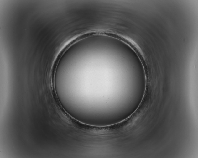 X0000086720887200704201624