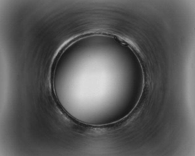 X0000086720888200704201624