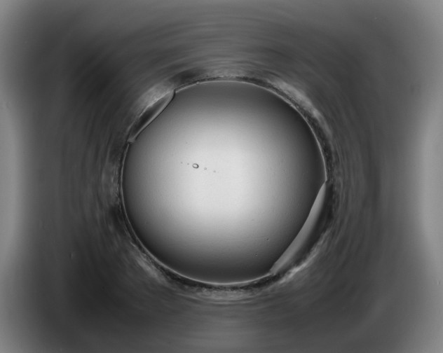 X0000086720889200704201624