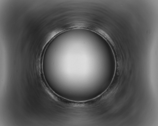 X0000086720890200704201624