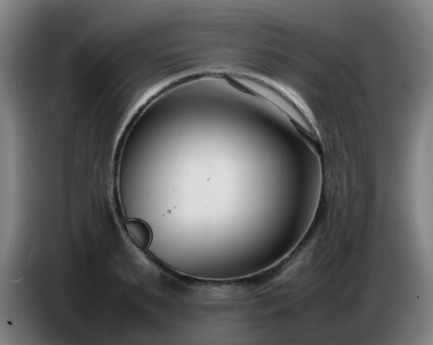 X0000086720895200704201624