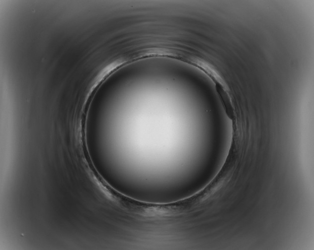 X0000086720898200704201624