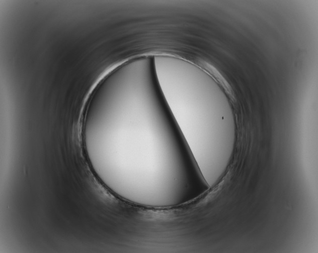 X0000086720900200704201624